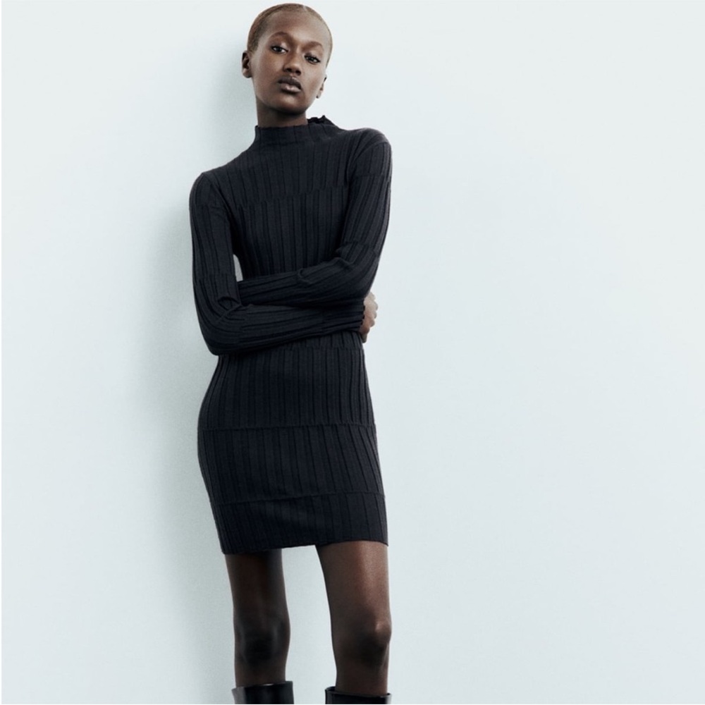 NWT Zara dress